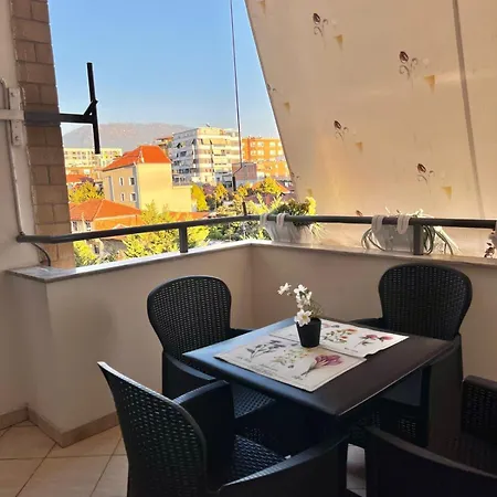 Friends' House In * ティラナ